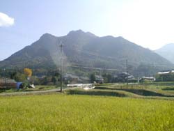 黑井城址