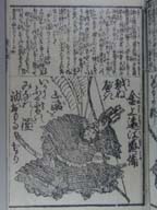 图1(点击放大)